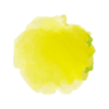 PoP_logo-VF3_couleur jaune PoP_logo-VF3_couleur jaune
