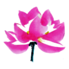 LG_identite_flower-1 LG_identite_flower-1