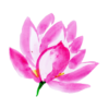 LG_identite_flower-3 LG_identite_flower-3